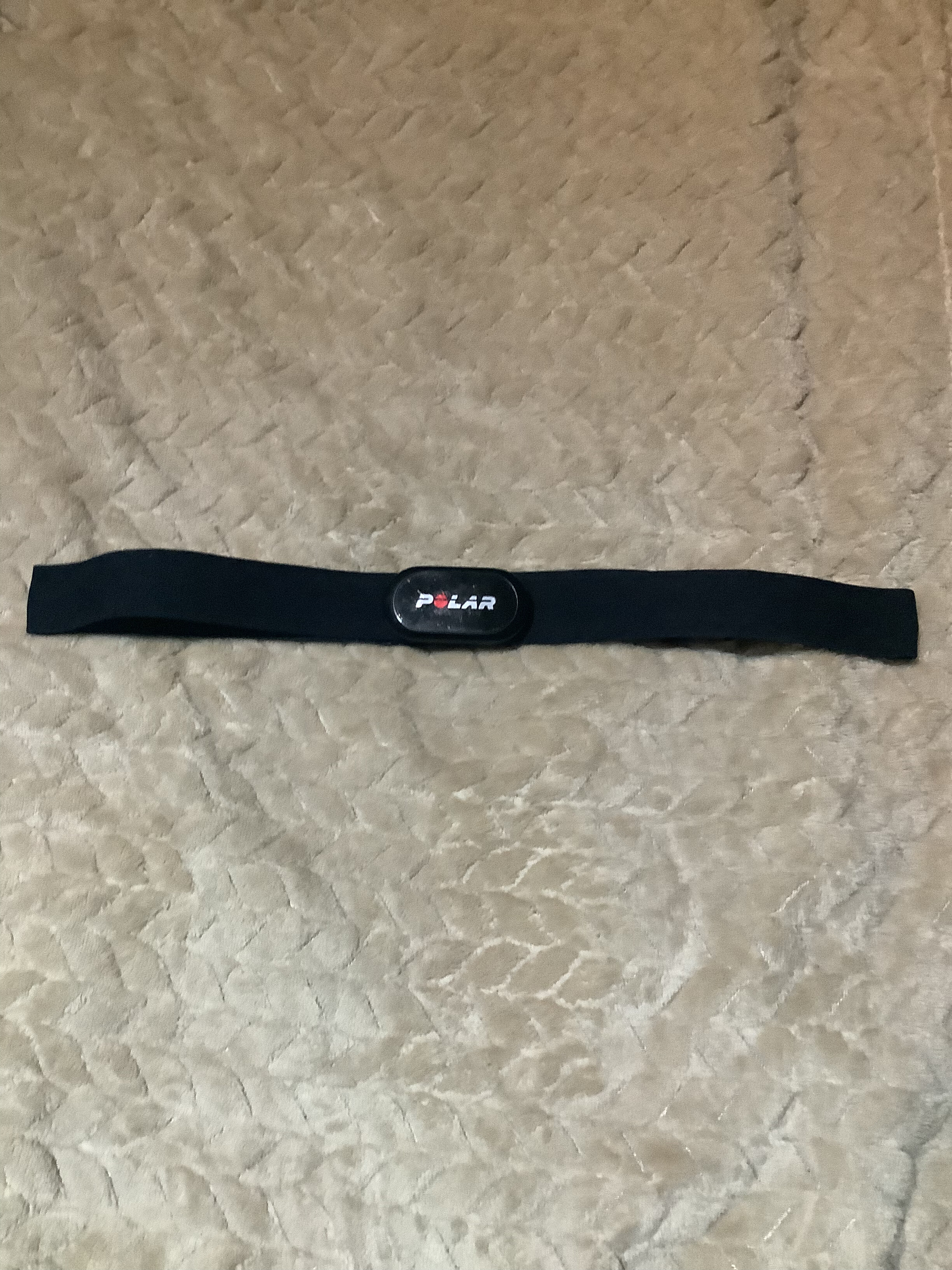 Polar H10 chest strap laid flat, with the sensor module at its centre
